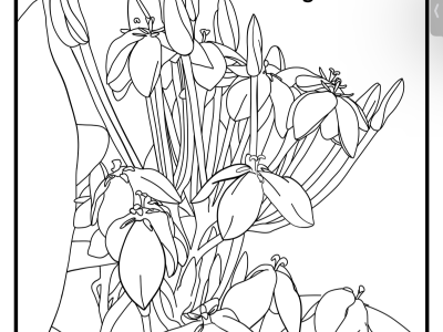 Flower line art