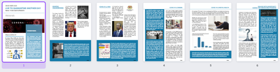 Newsletter Concept Work