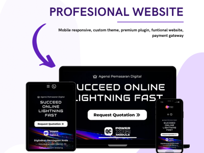 Profesional-website