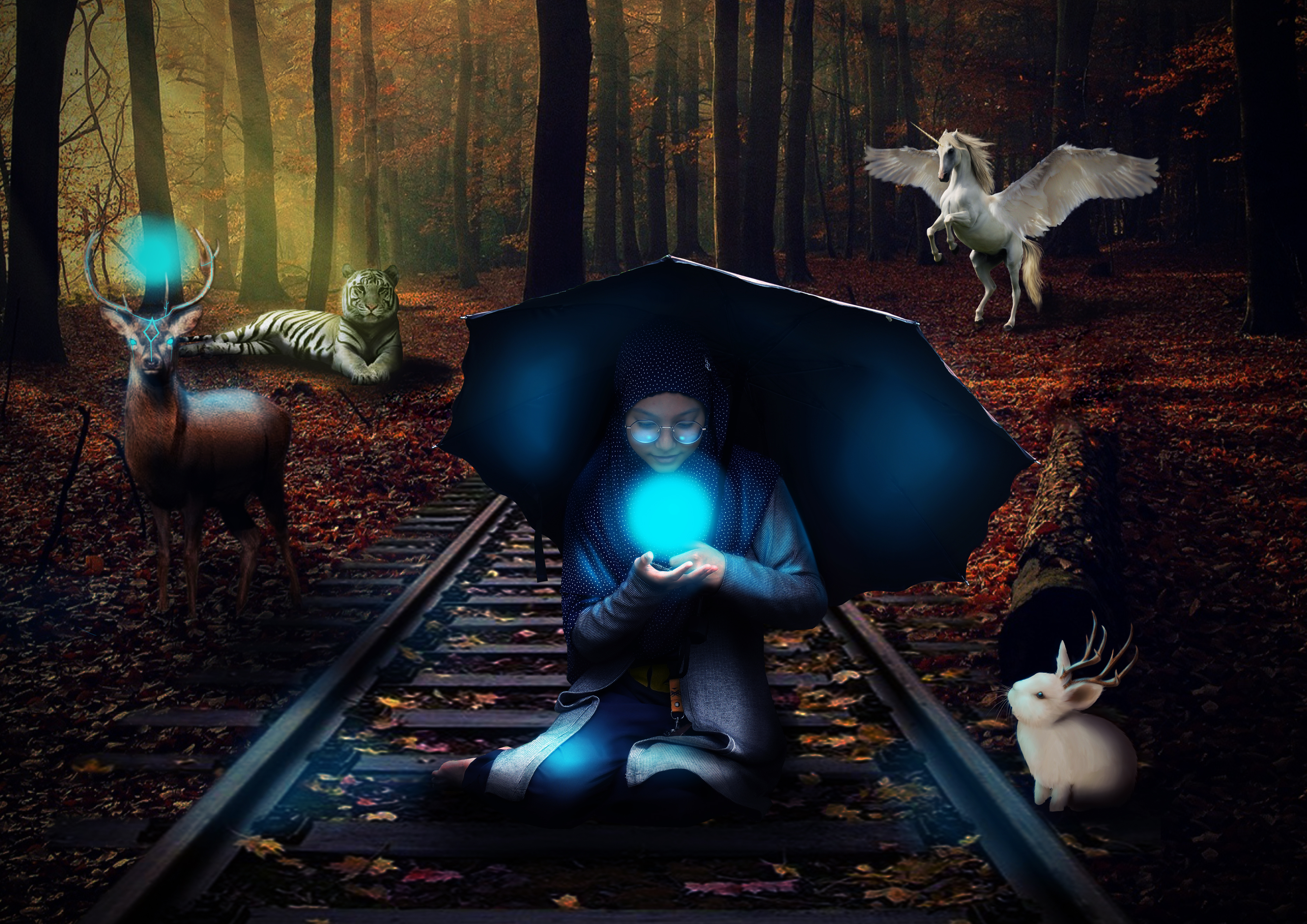 The girl in the forest (photo manipulation assignment)