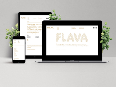 Flava Responsive Website