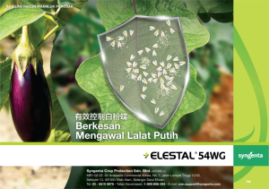 Sygenta-Elestal-54WG-A4-Flyer-FA-01.jpg